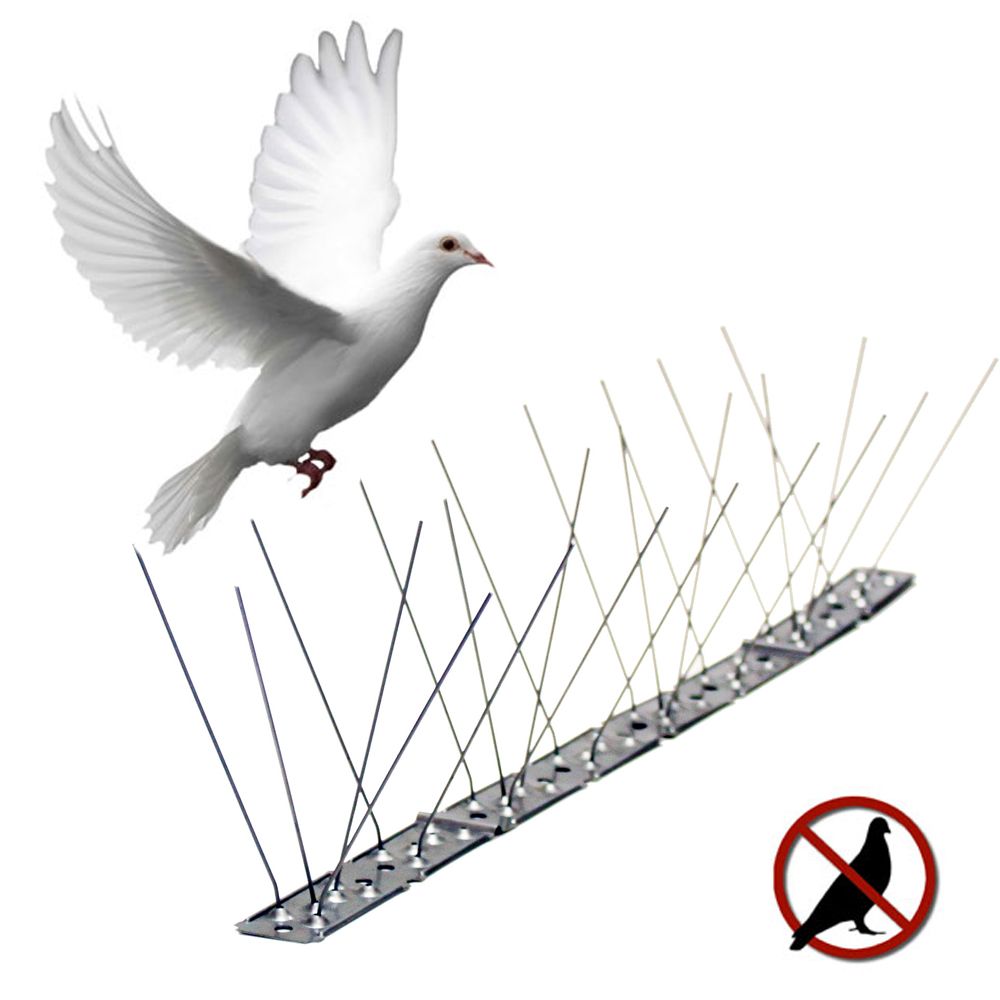 Varilla disuasoria para aves, anti palomas, acero inoxidable, 100 x 2,5 x 11 cm