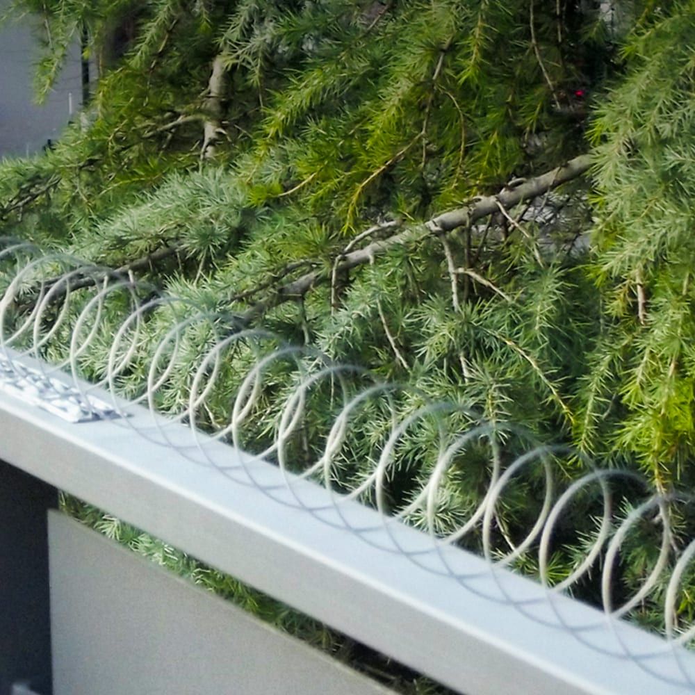 Disuasorio espiral para aves, acero inoxidable, ideal para balcones, 5 m