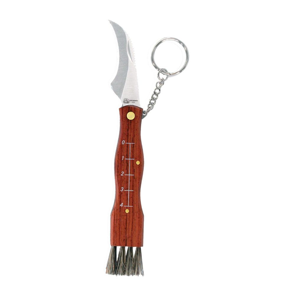 Navaja setas acero inoxidable con llavero + funda hoja 6 cm