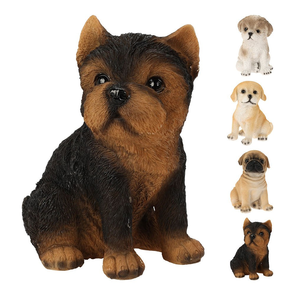 Perro de polipiedra, modelos variados, 115 x 89 x 140 mm