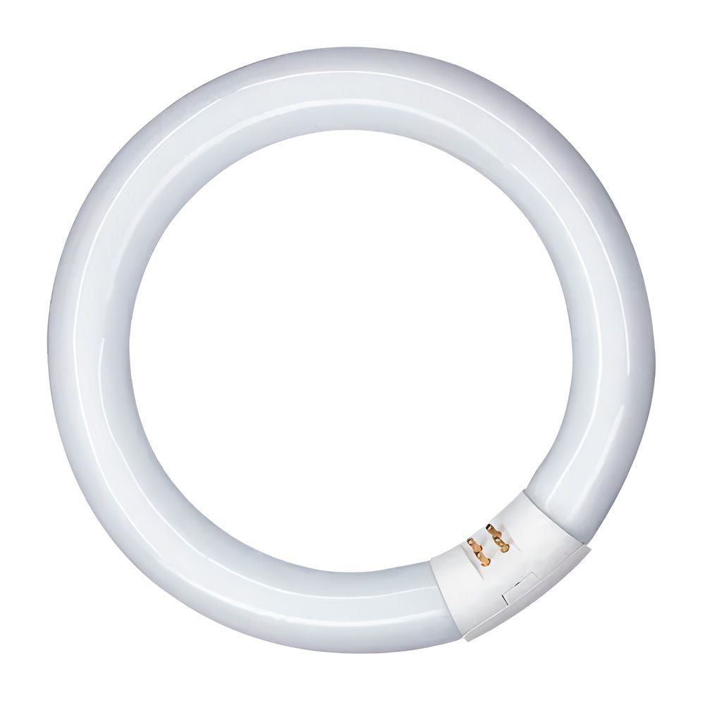 Tubo fluorescente circular 32w, g10q, 6500 k luz fria ø300 mm
