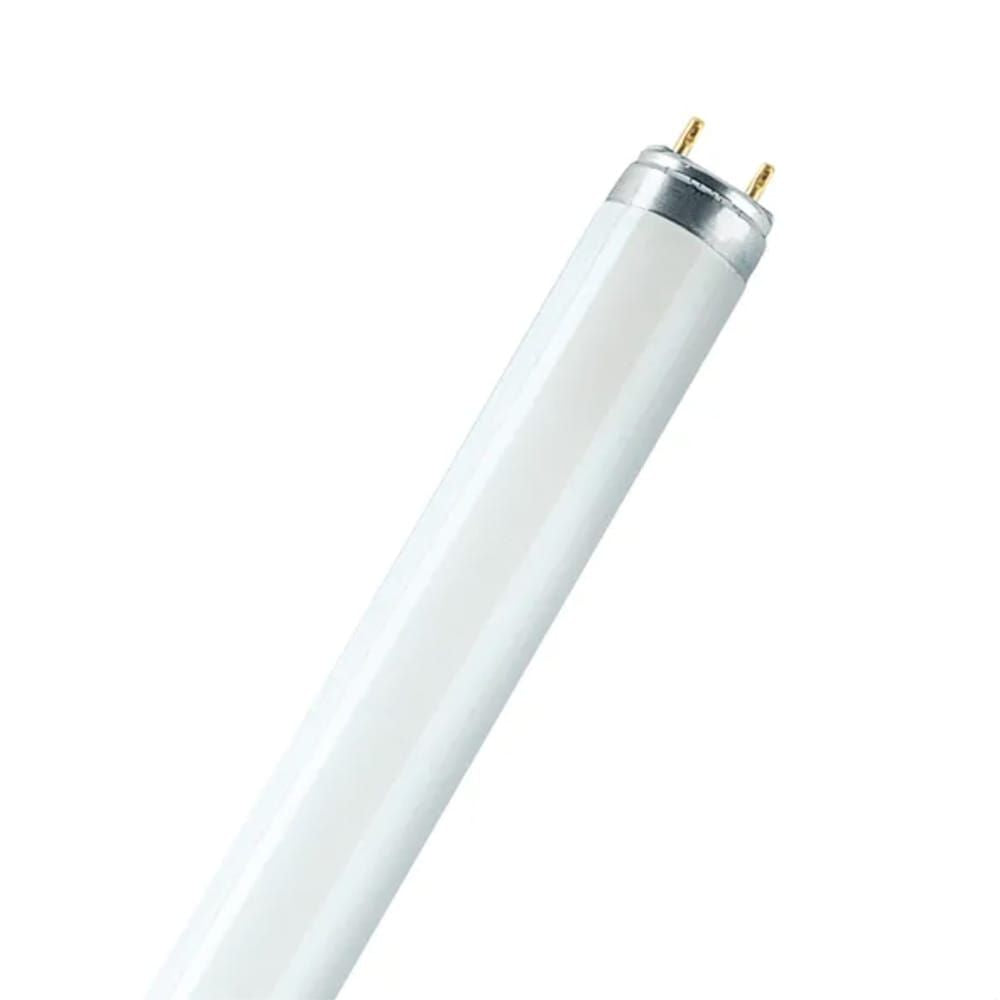 Tubo fluorescente 18 w 6500 k 1250 lm t8 60 cm g13 luz fria