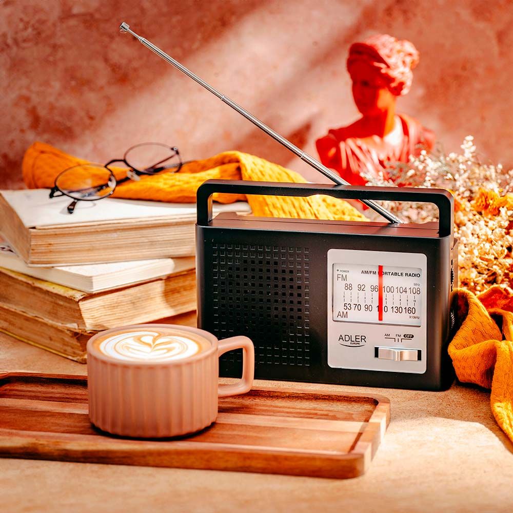 Radio am/fm ad 1909, 15,5 x 21 x 6 cm