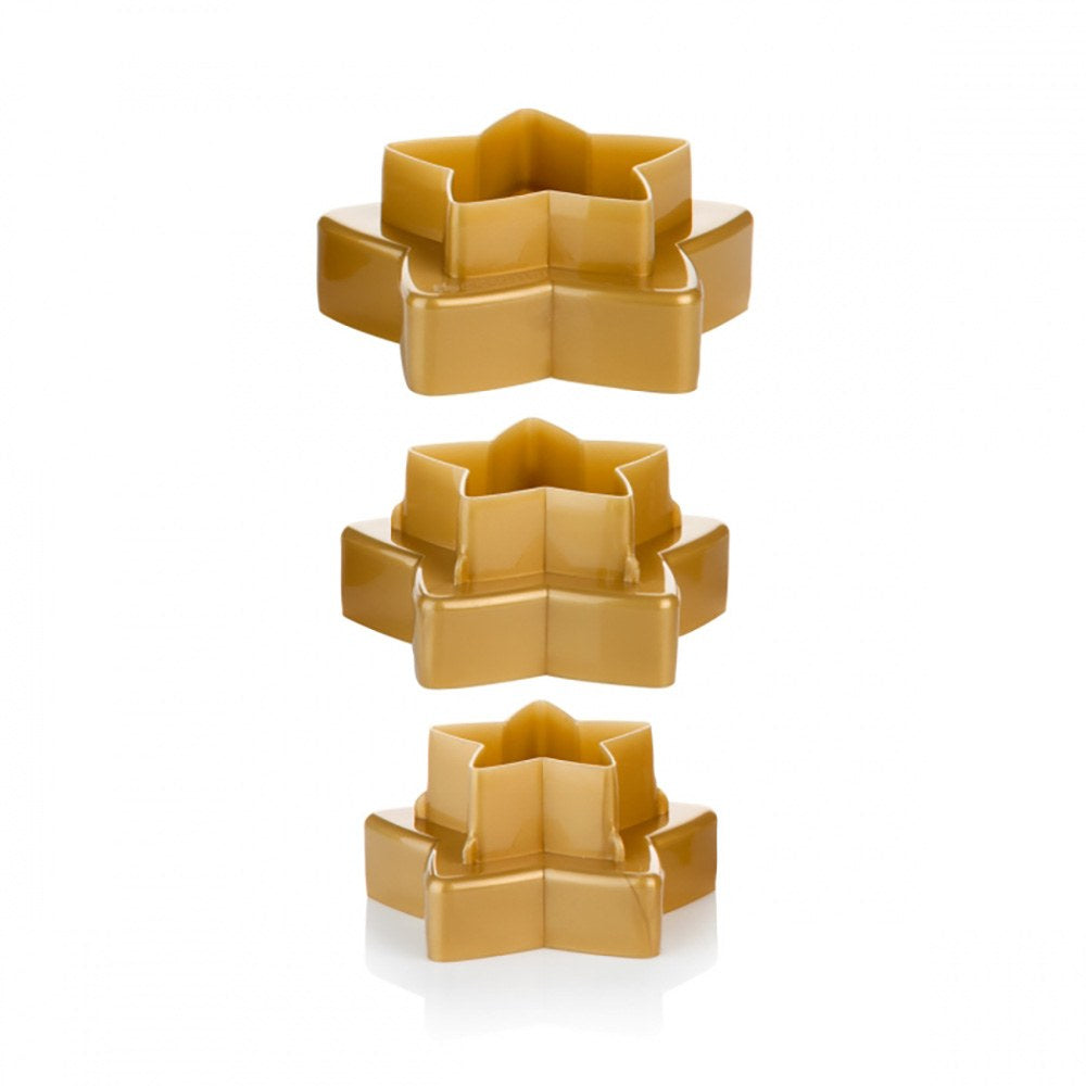 Moldes cortadores dobles en forma de estrella, delícia, 3 piezas (6 tamaños)