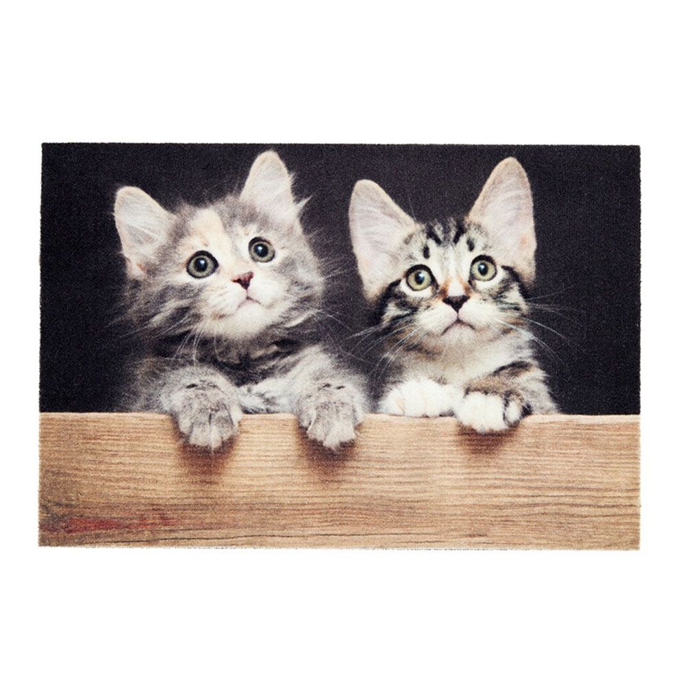 Felpudo de interior, deco print, 100% poliamida, 40 x 60 cm, diseño gatos