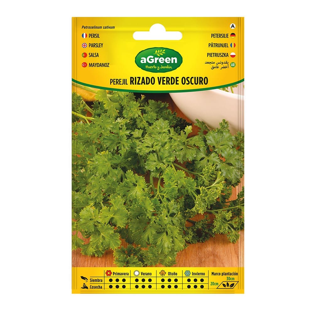 Sobre con semillas de perejil rizado verde oscuro