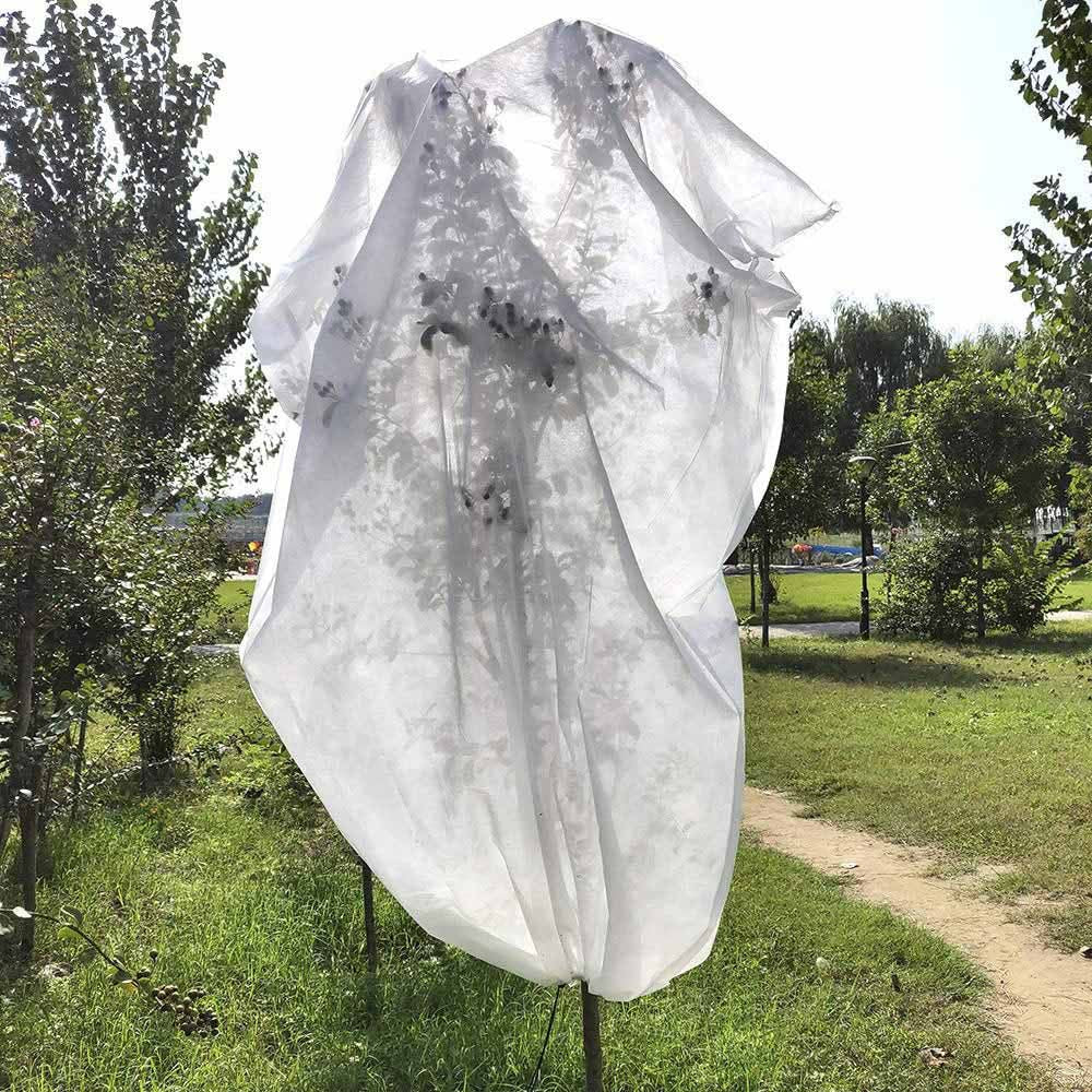 Capuchas de protección de plantas ø1,5 x 1,8 m, 2 unidades