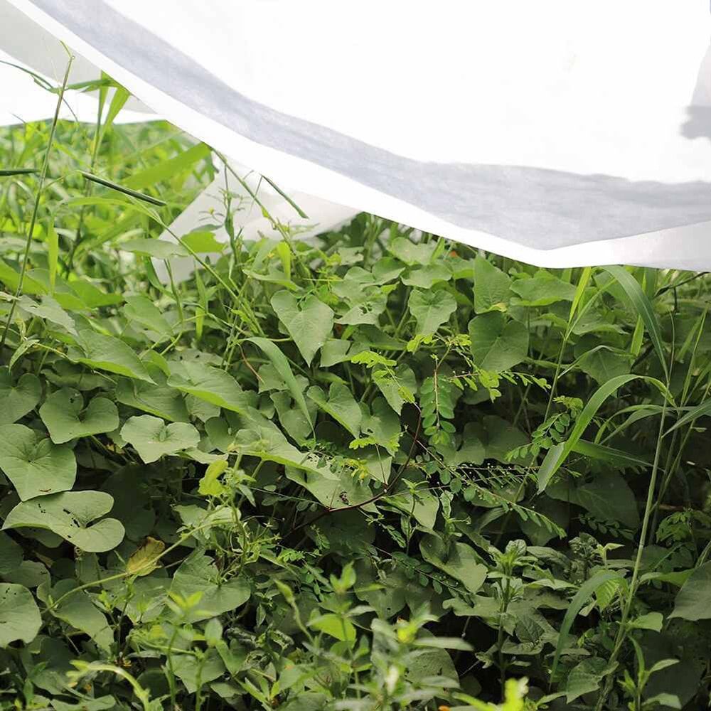 Tela de protección para cultivos 2 x 10 m 17gr/m²