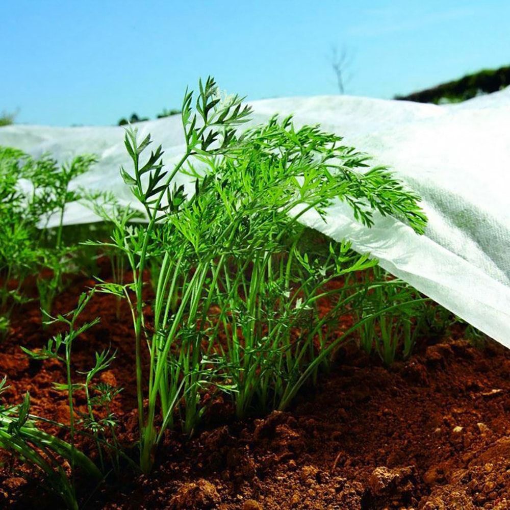 Tela de protección para cultivos 2 x 10 m 17gr/m²