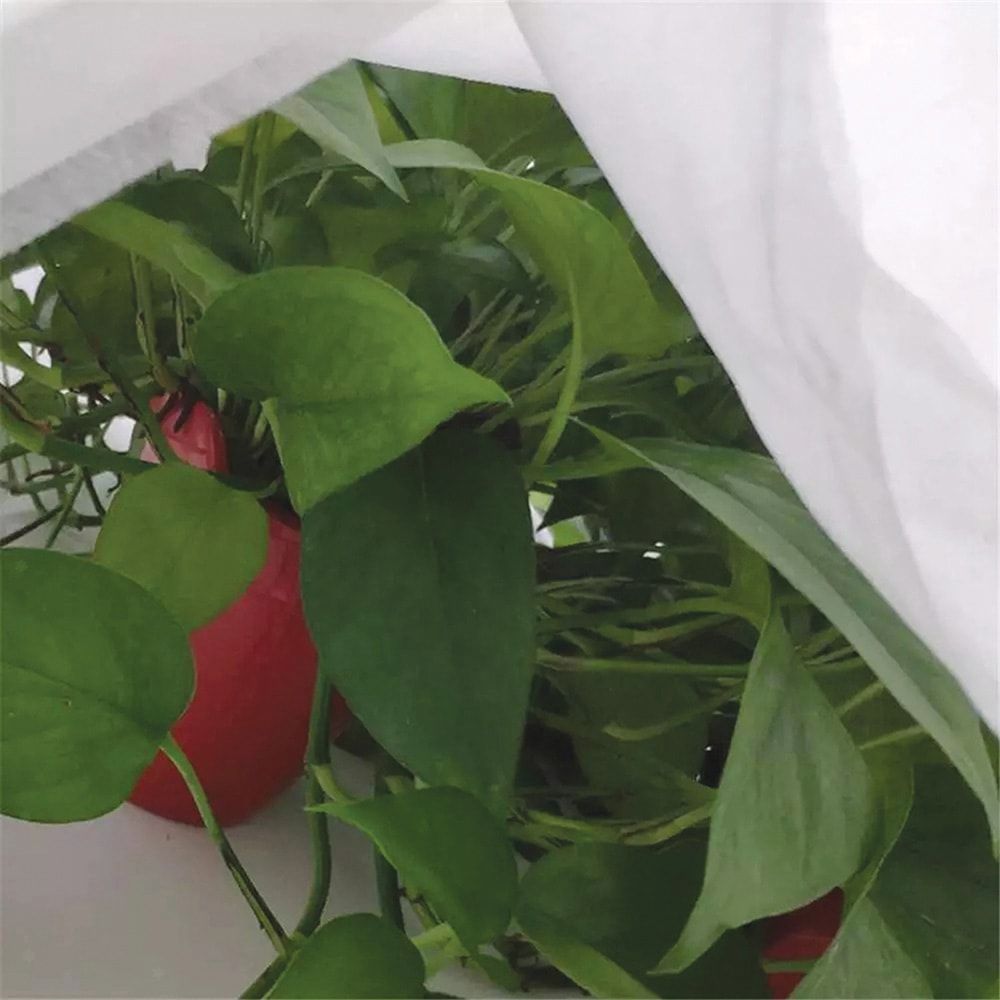 Tela de protección para cultivos 1,5 x 5 m 30gr/m²