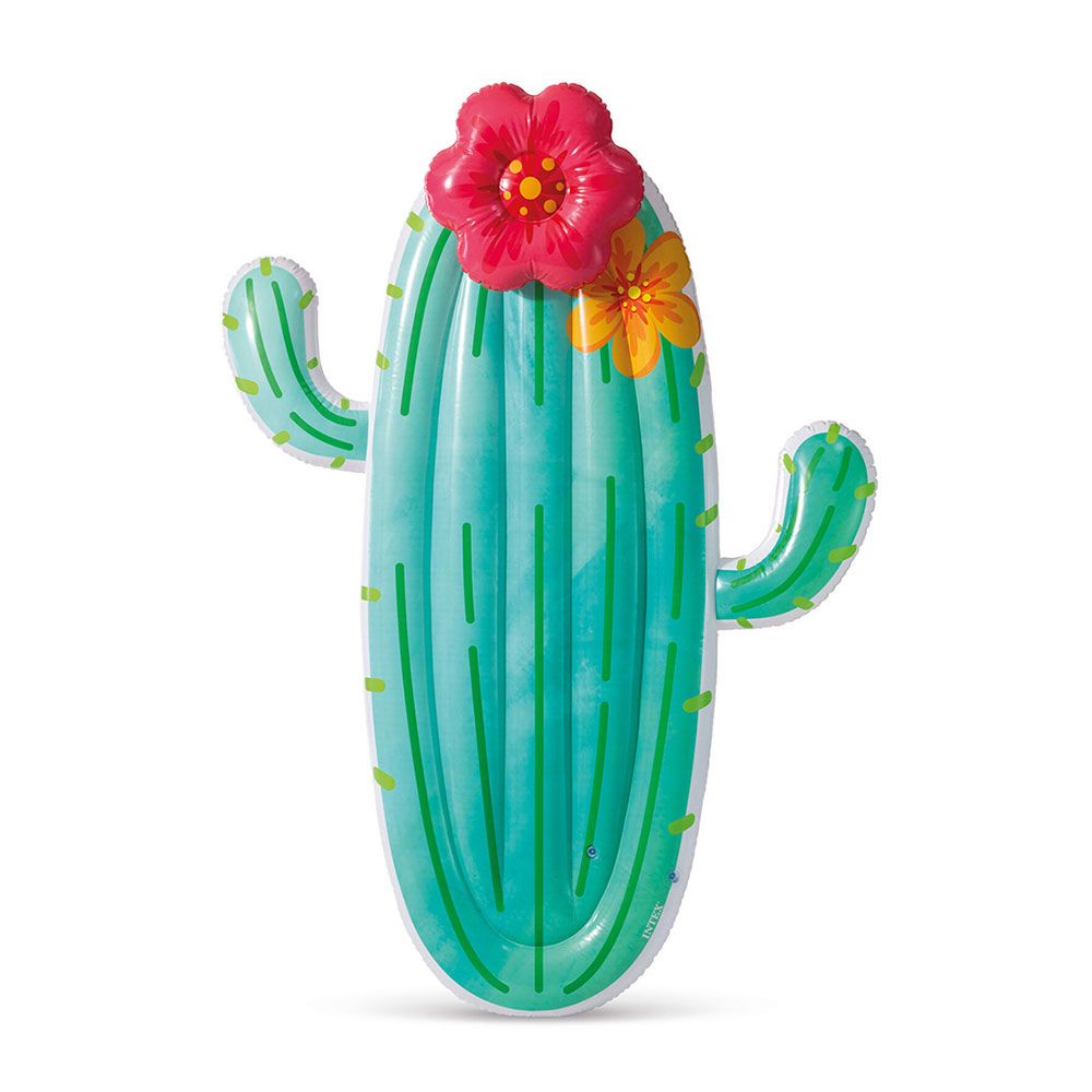 Hinchable cactus 185 x 140 cm