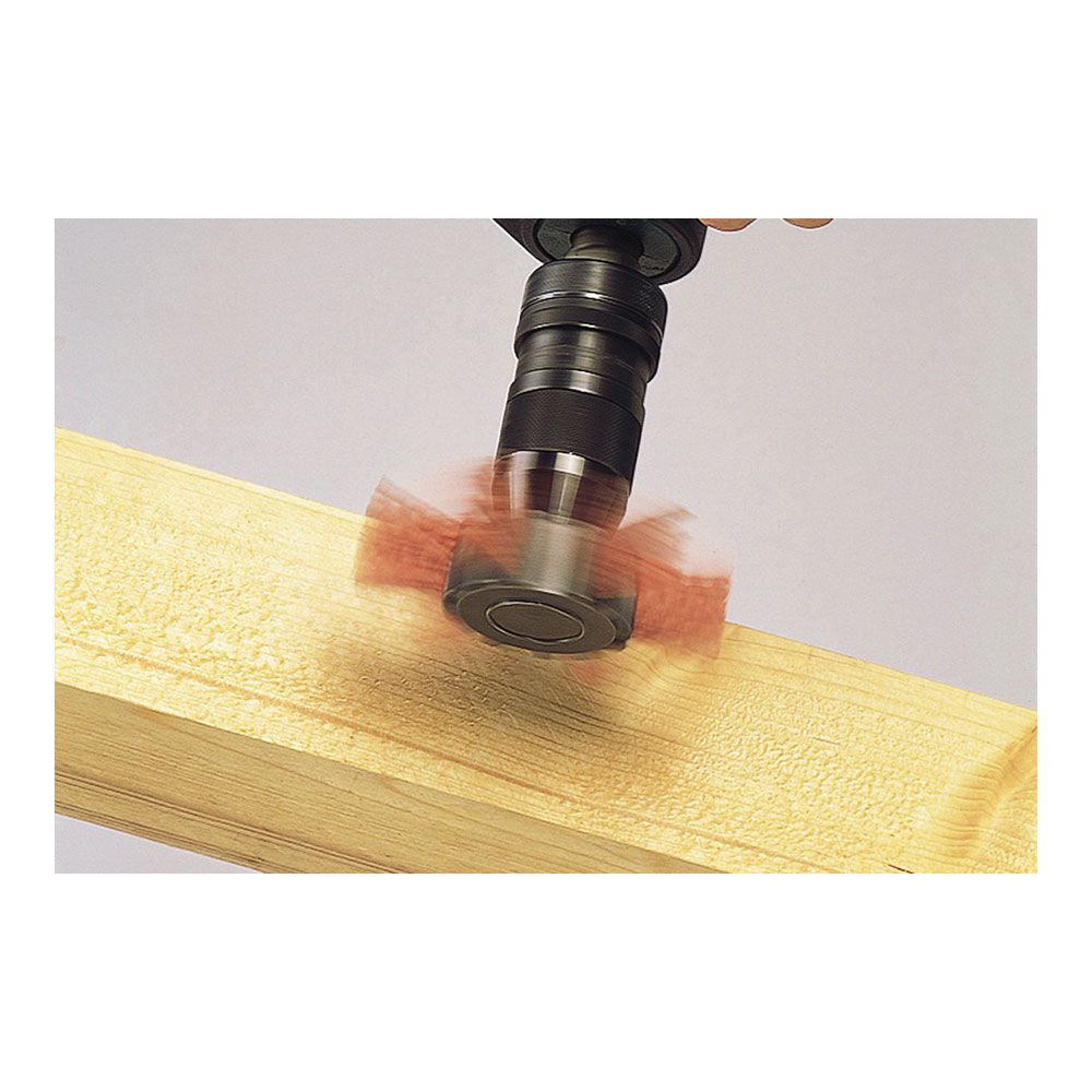 Cepillo de abanico de alambre de nylon vástago hexagonal ø100 x 20 mm