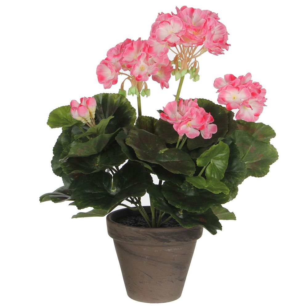 Maceta de geranio blanco rosado, ø11,5 x 33 cm