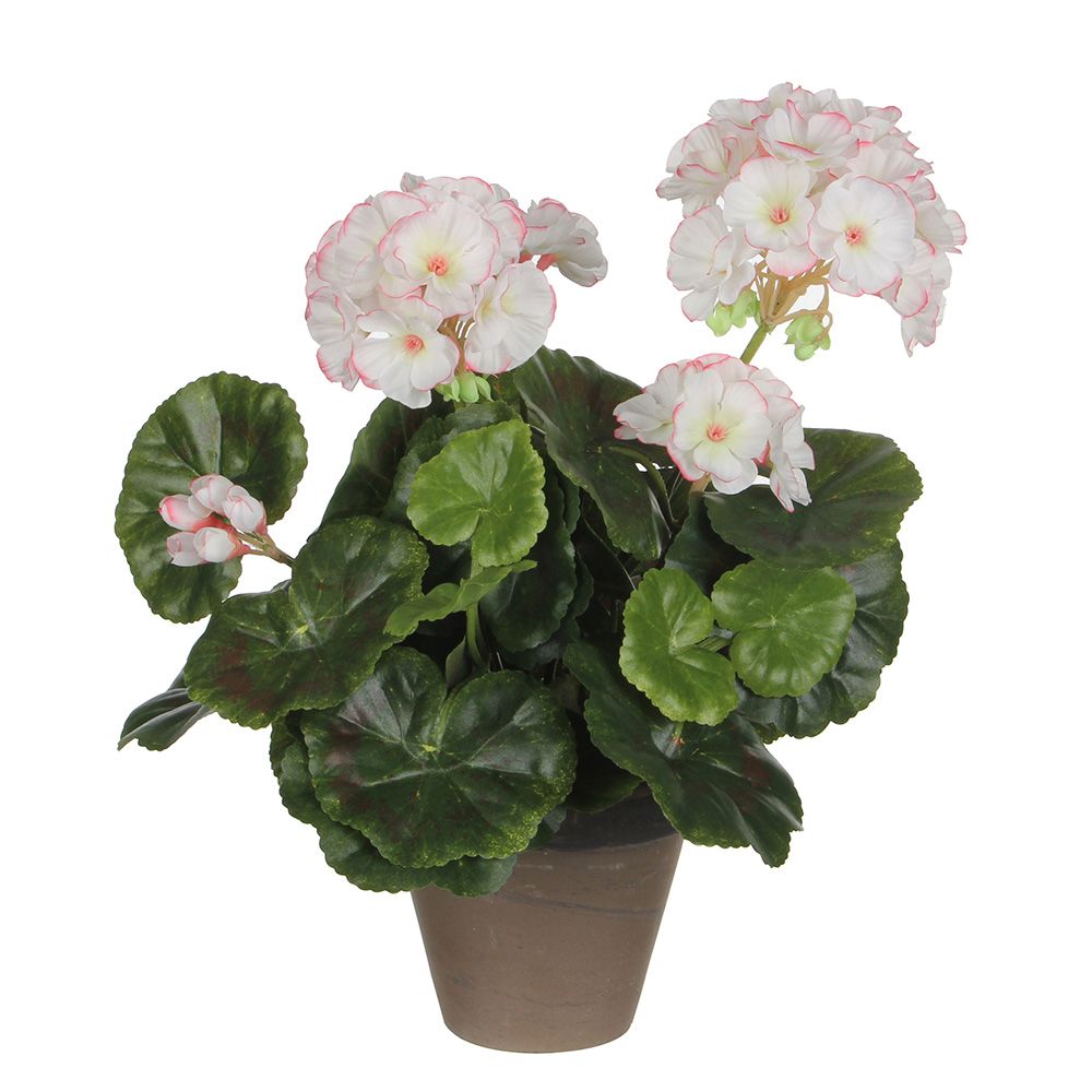Maceta de geranio blanco / rosa, ø11,5 x 33 cm