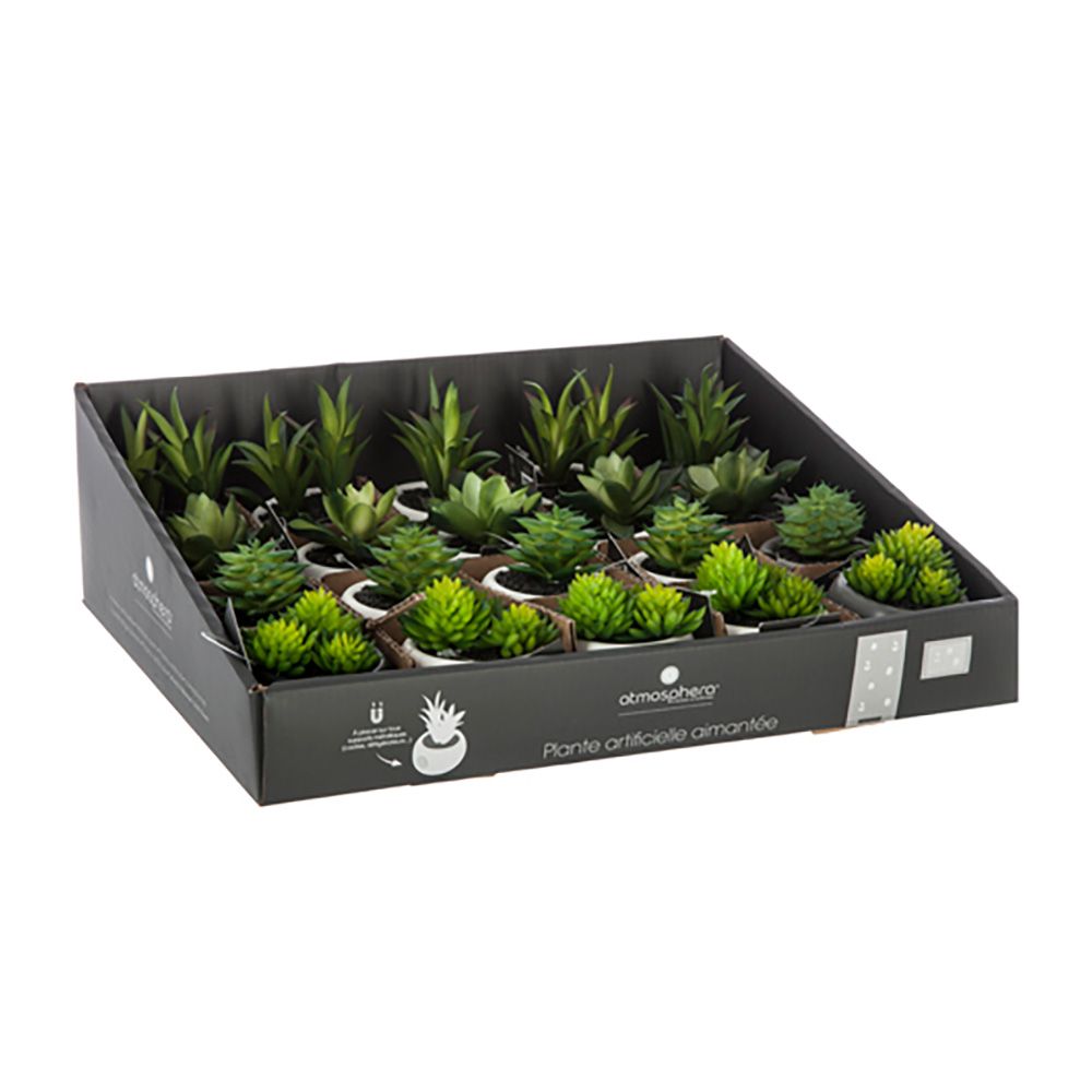 Maceta mini con iman de suculenta, 6 cm, modelos variados