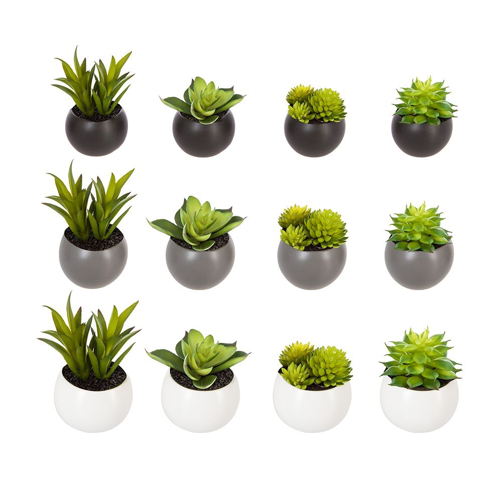 Maceta mini con iman de suculenta, 6 cm, modelos variados