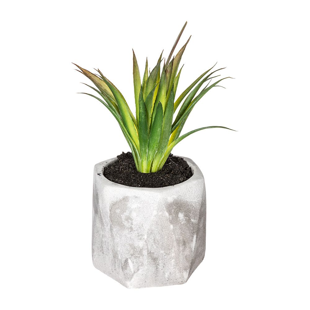 Maceta mini de suculenta, 7 x 14 cm, modelos variados