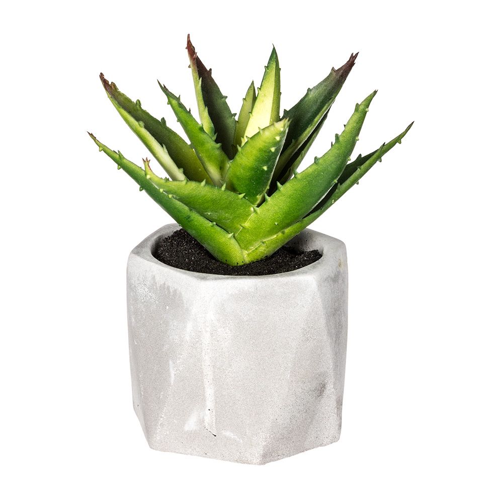 Maceta mini de suculenta, 7 x 14 cm, modelos variados