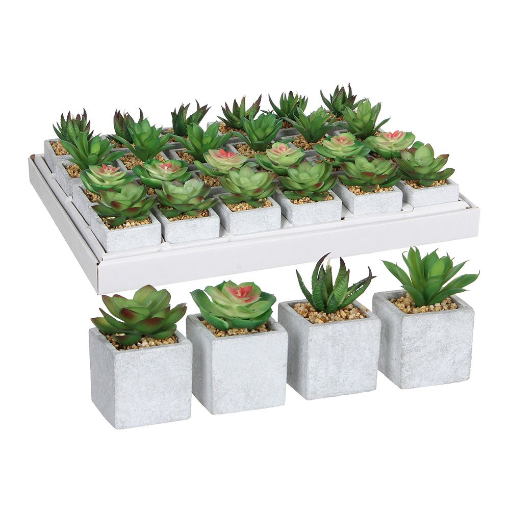 Maceta de suculenta verde, 4 modelos diferentes. precio por unidad