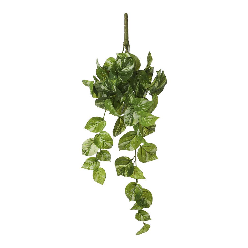 Maceta colgante de poto verde, 14 x 58 x 20 cm