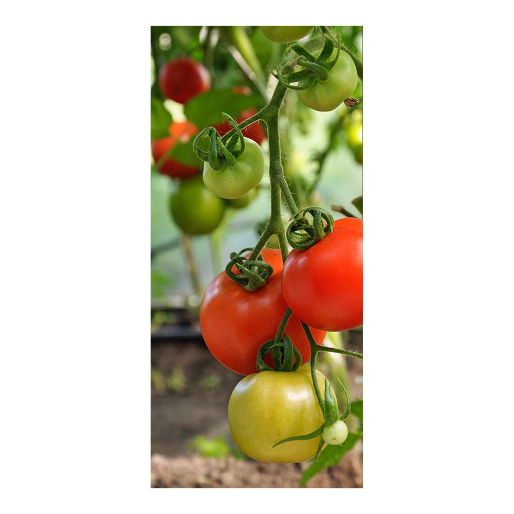 Guía para tomateras, ø6 mm x 180 cm