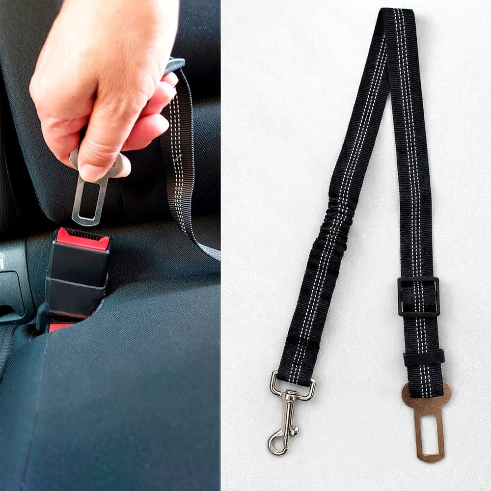 Protector para asiento de coche, enganche cinturón y separador para mascotas