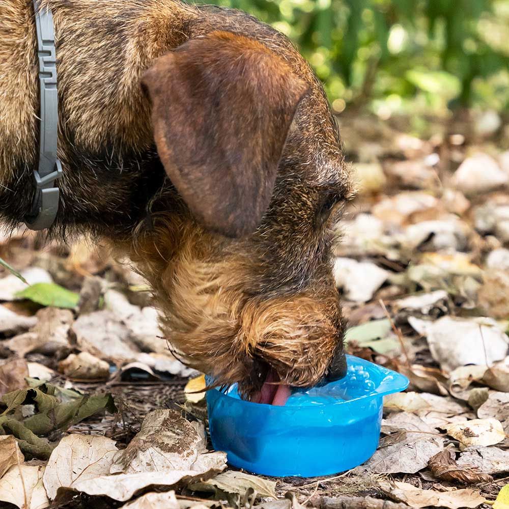 Botella con depósito de agua y comida para mascotas 2 en 1