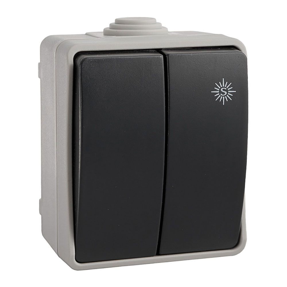 Doble conmutador estanco, 10 ax 250 v~. ip54